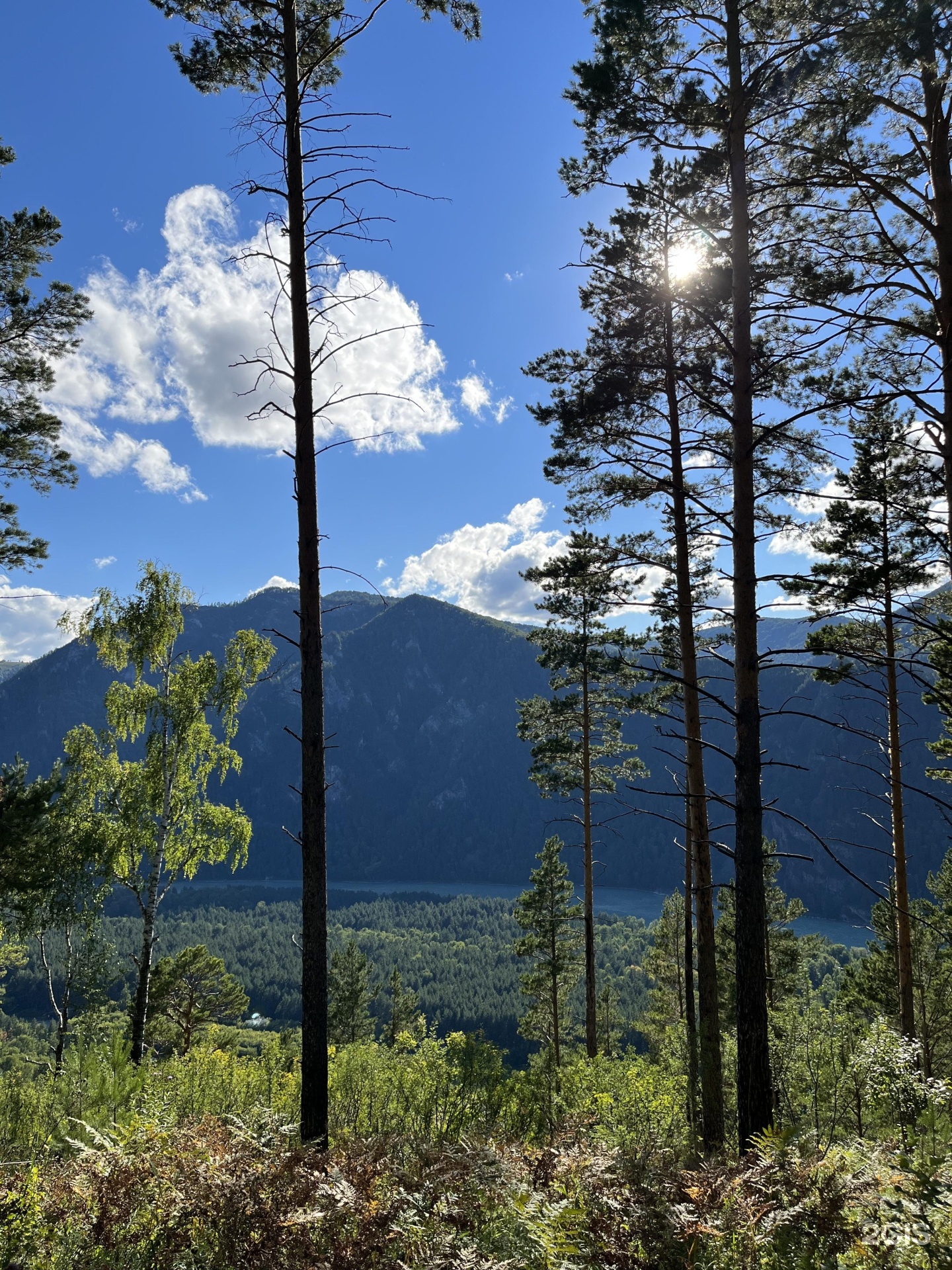 Виллар - фото 9