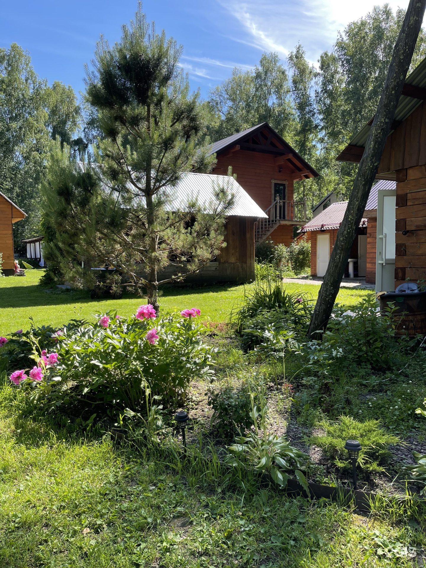 Алёнушка - фото 5