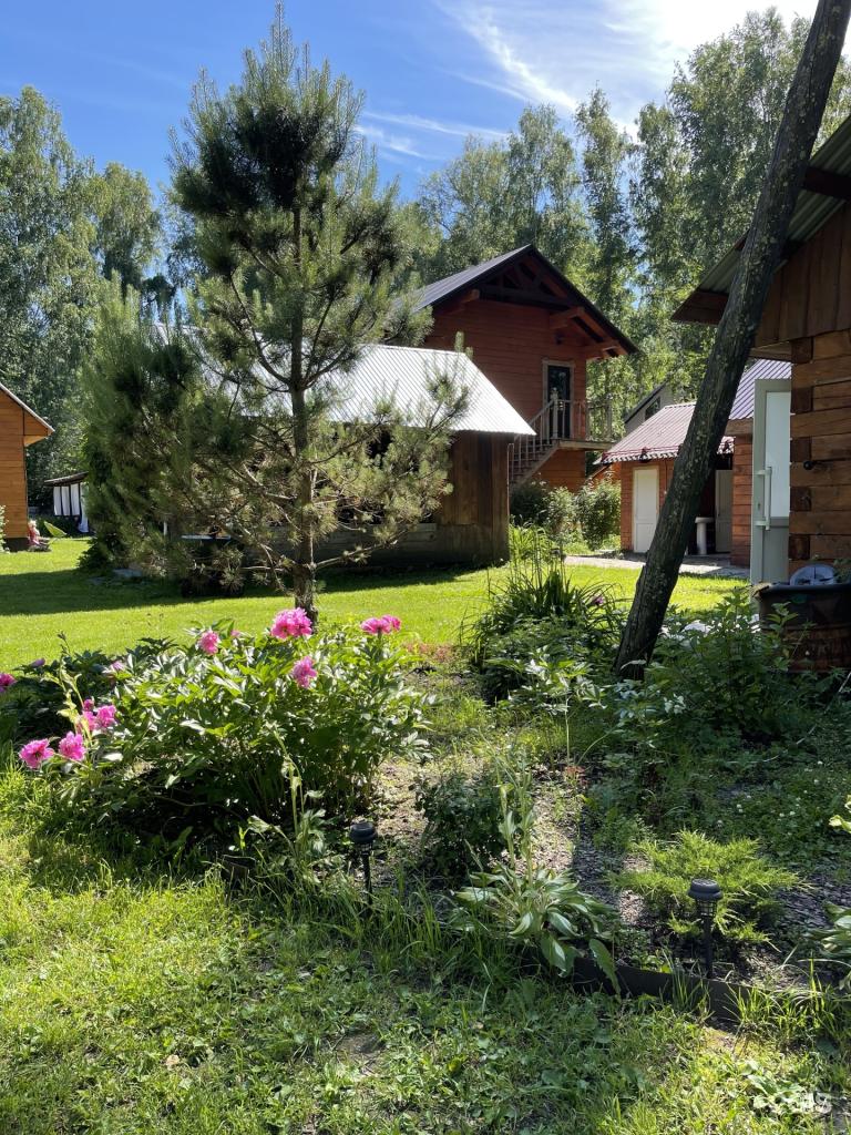 Алёнушка - фото 5