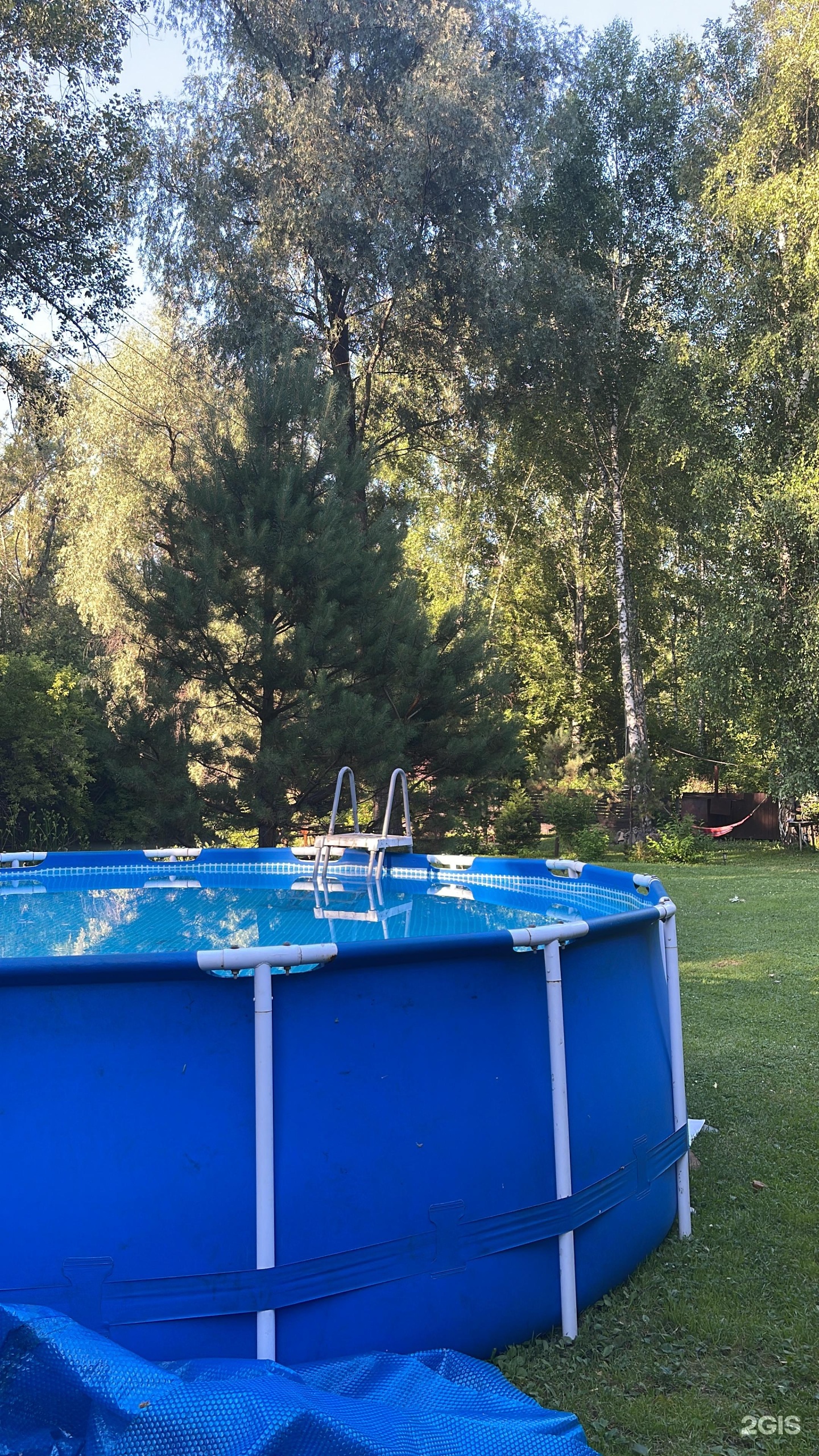 Алёнушка - фото 28