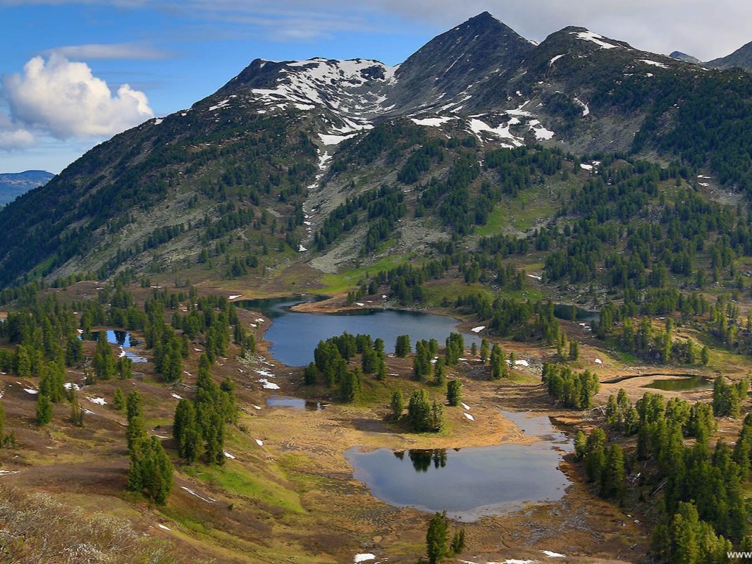 Алтайский биосферный заповедник - фото 6