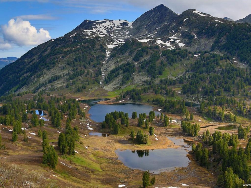 Алтайский биосферный заповедник - фото 6