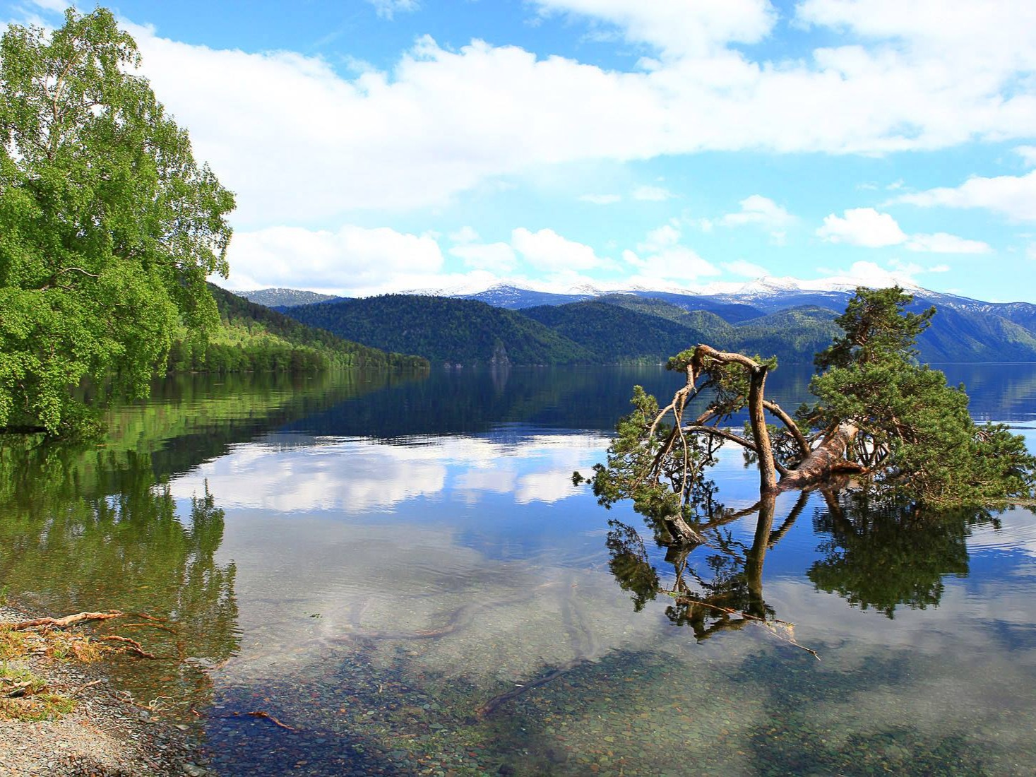 Алтайский биосферный заповедник - фото 1