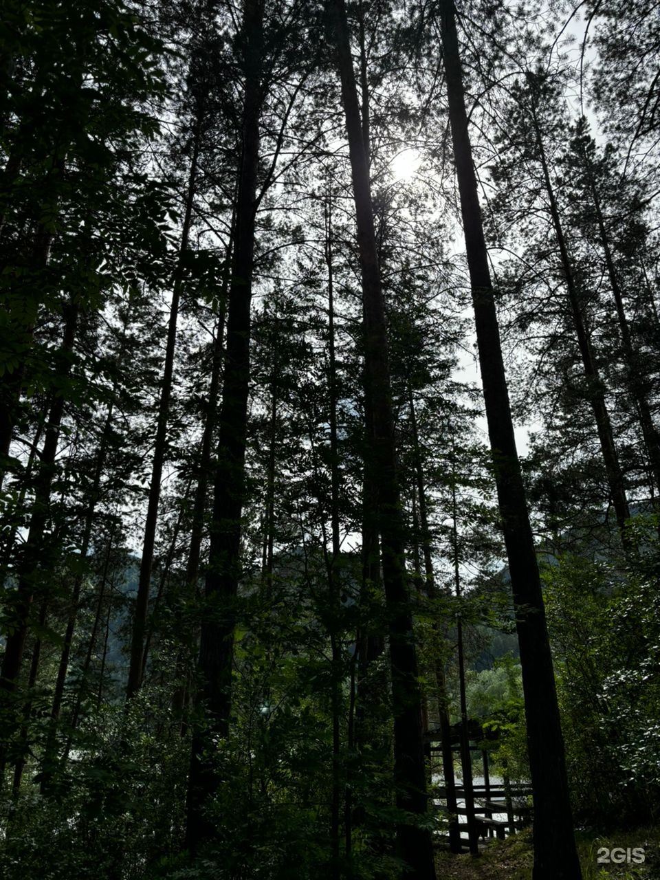 Катунский Утёс - фото 15