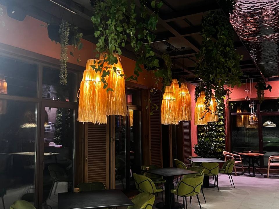 TERRAssa - фото 2