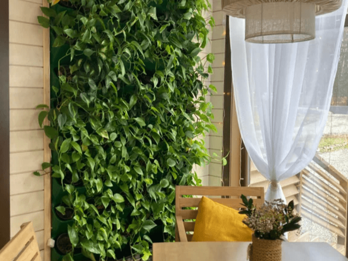 TERRAssa - фото 6