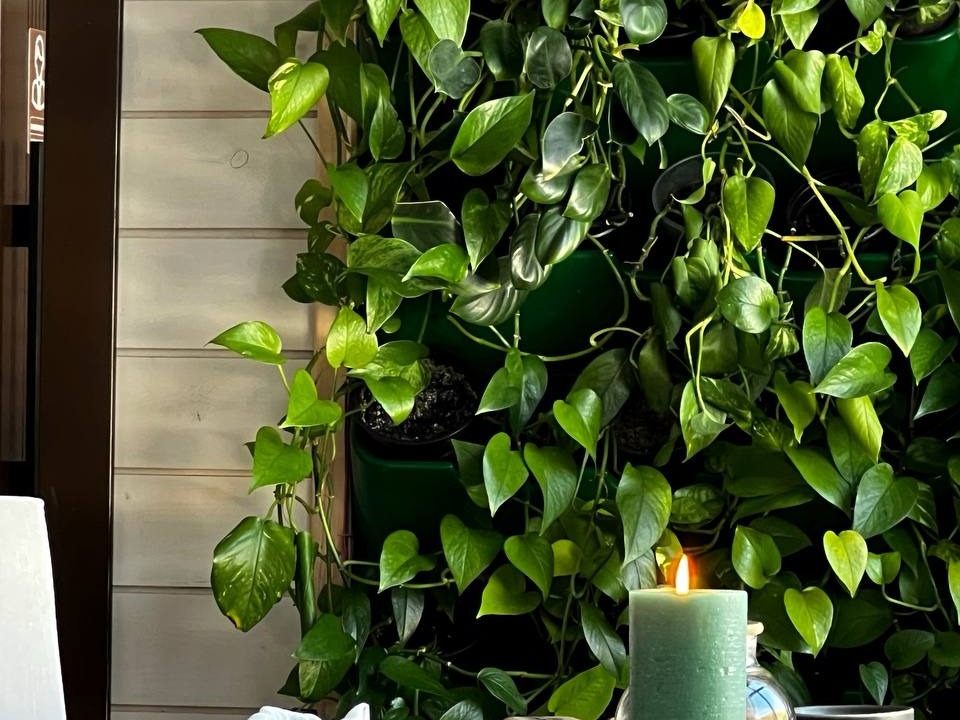 TERRAssa - фото 7