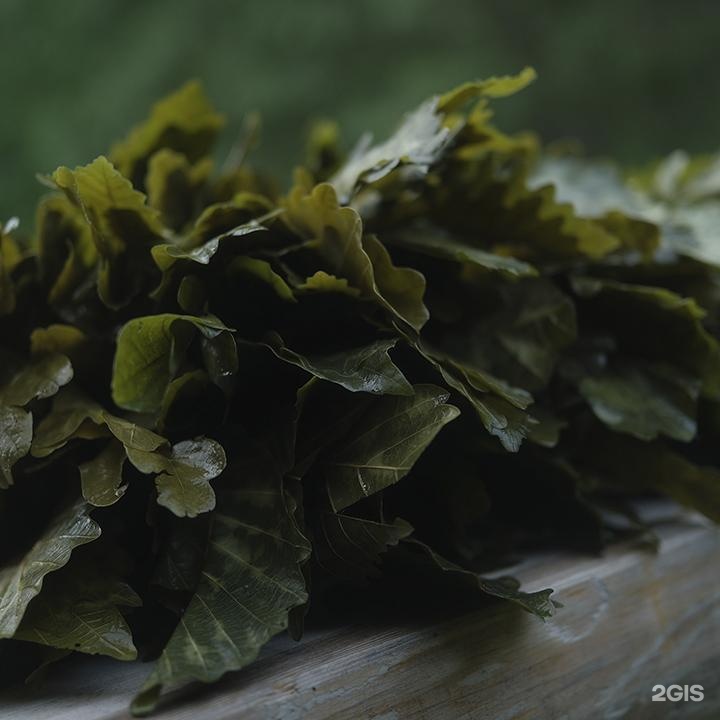 Paramono - фото 14