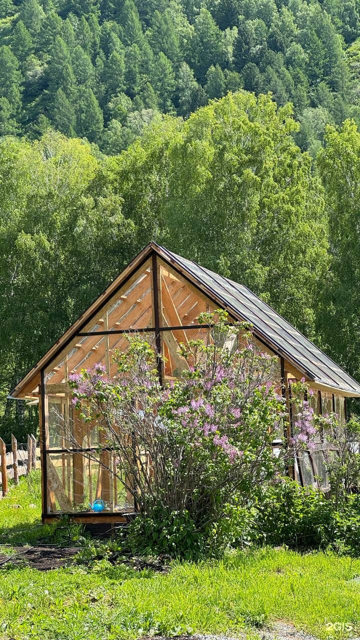 Paramono - фото 16