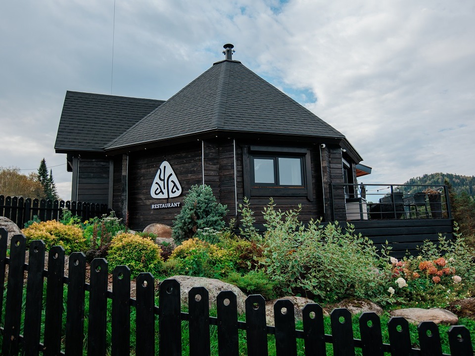 Чага - фото 3