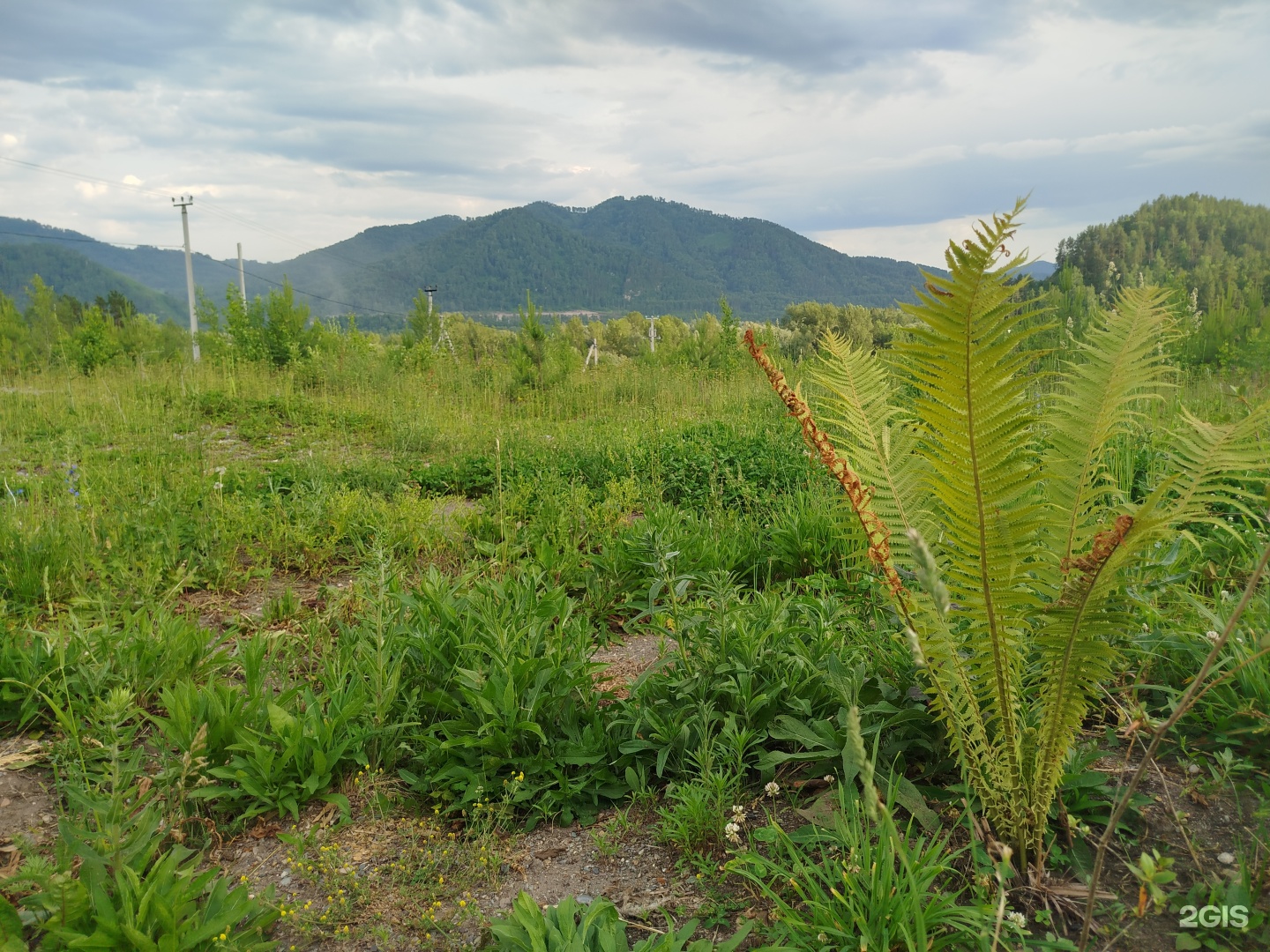 Горная - фото 49