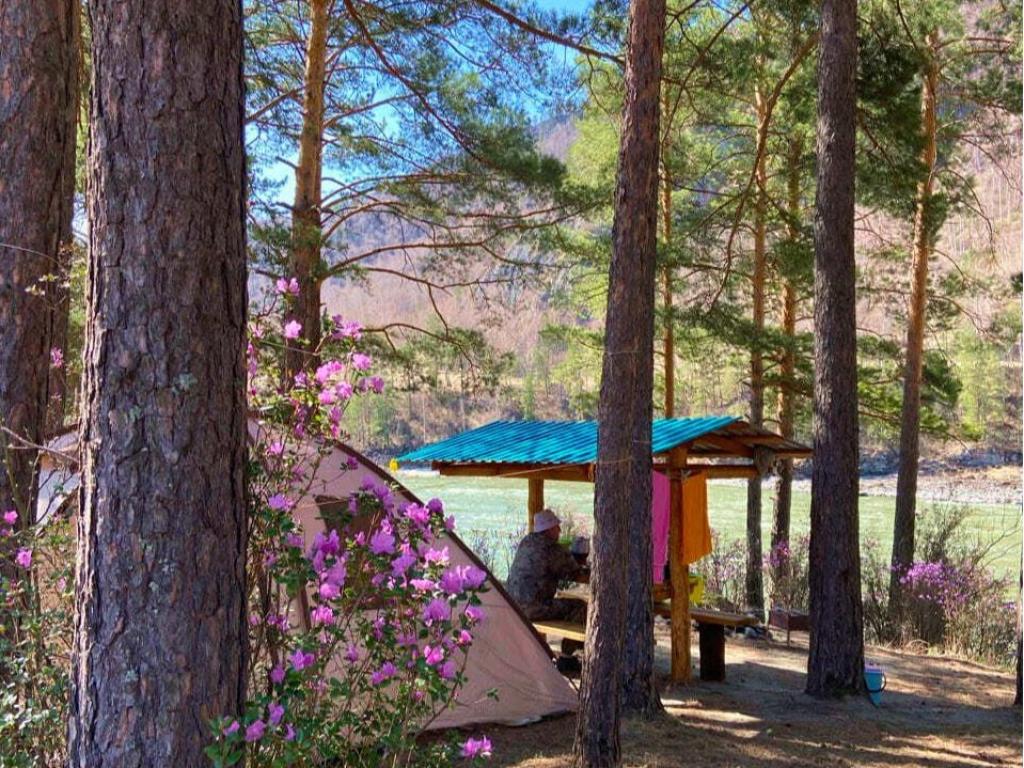 Кемпинг "Сосновый берег" - фото 5