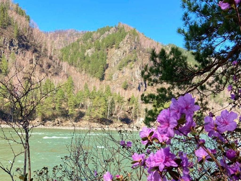 Кемпинг "Сосновый берег" - фото 6