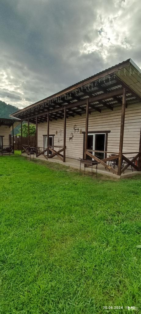 Ель - фото 10