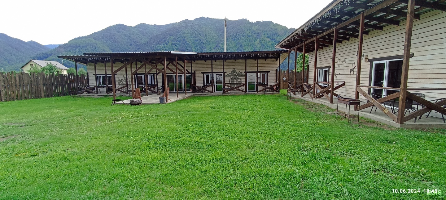 Ель - фото 11