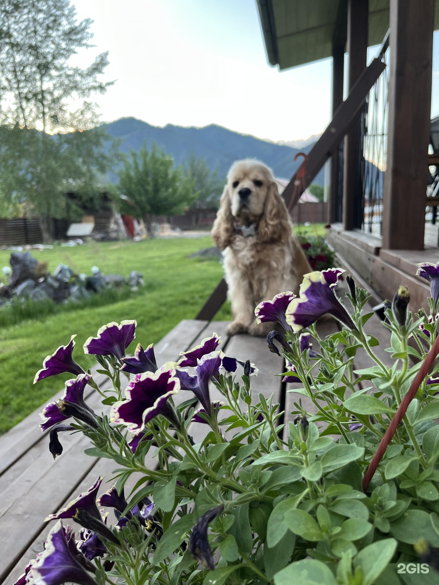 Оберег - фото 39