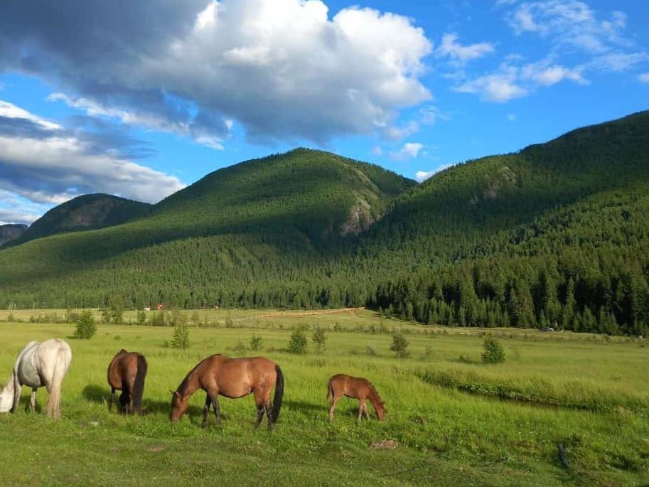 Счастье в горах - фото 5