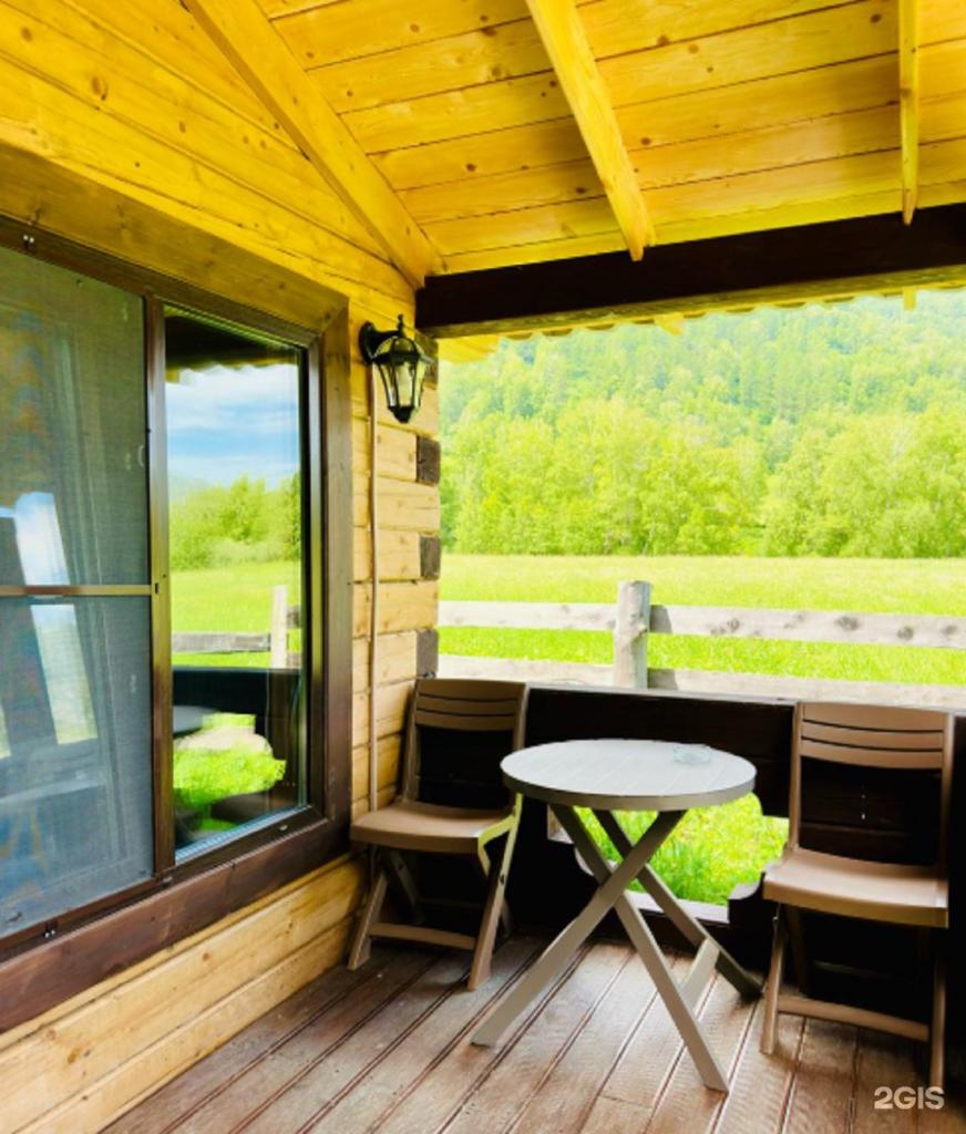 Кедровая роща - фото 5