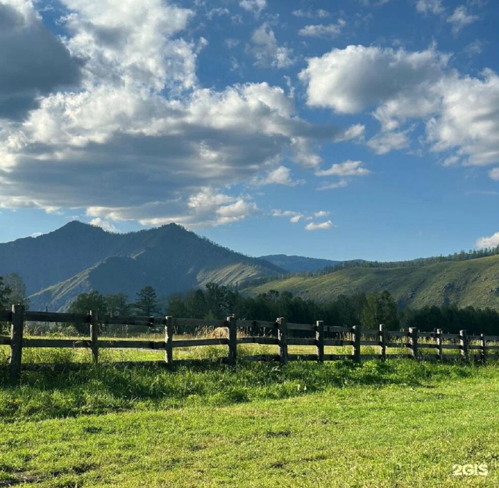 Кедровая роща - фото 9