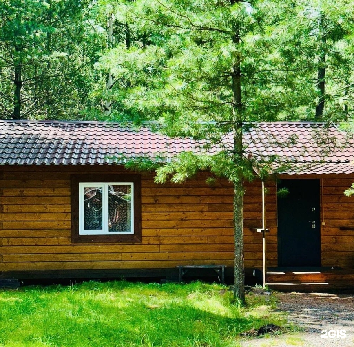 Кедровая роща - фото 14