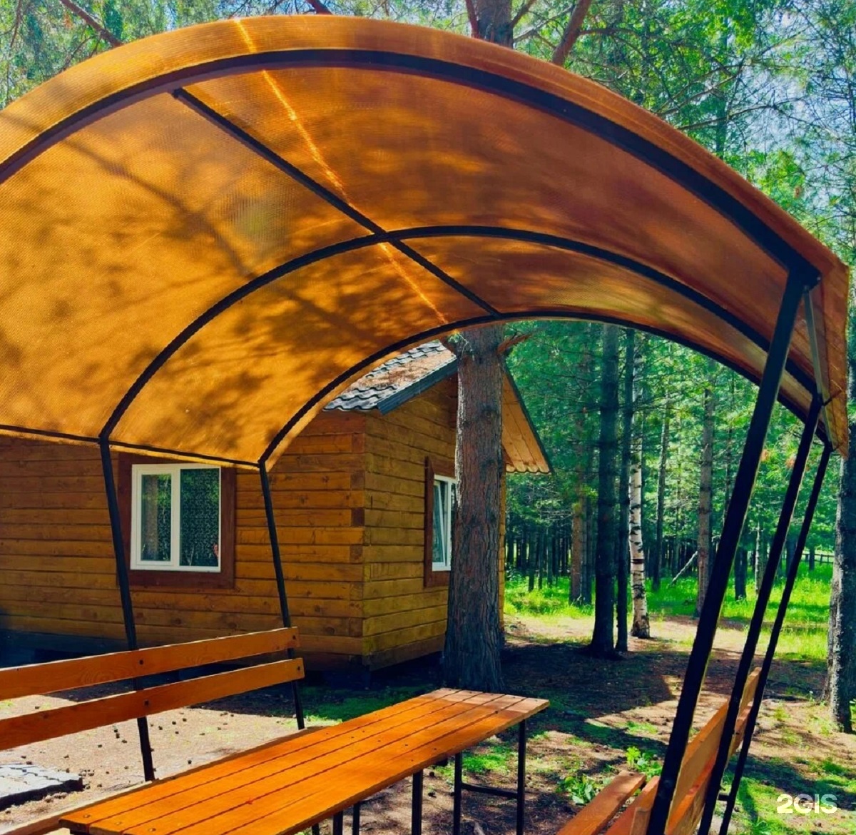 Кедровая роща - фото 16