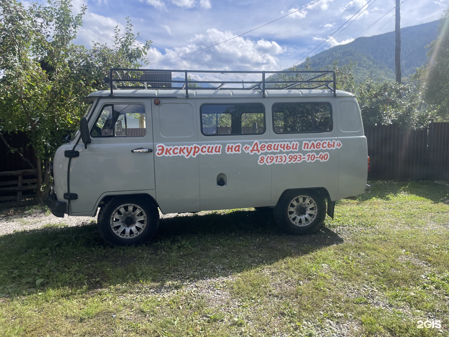 Кедровая роща - фото 21