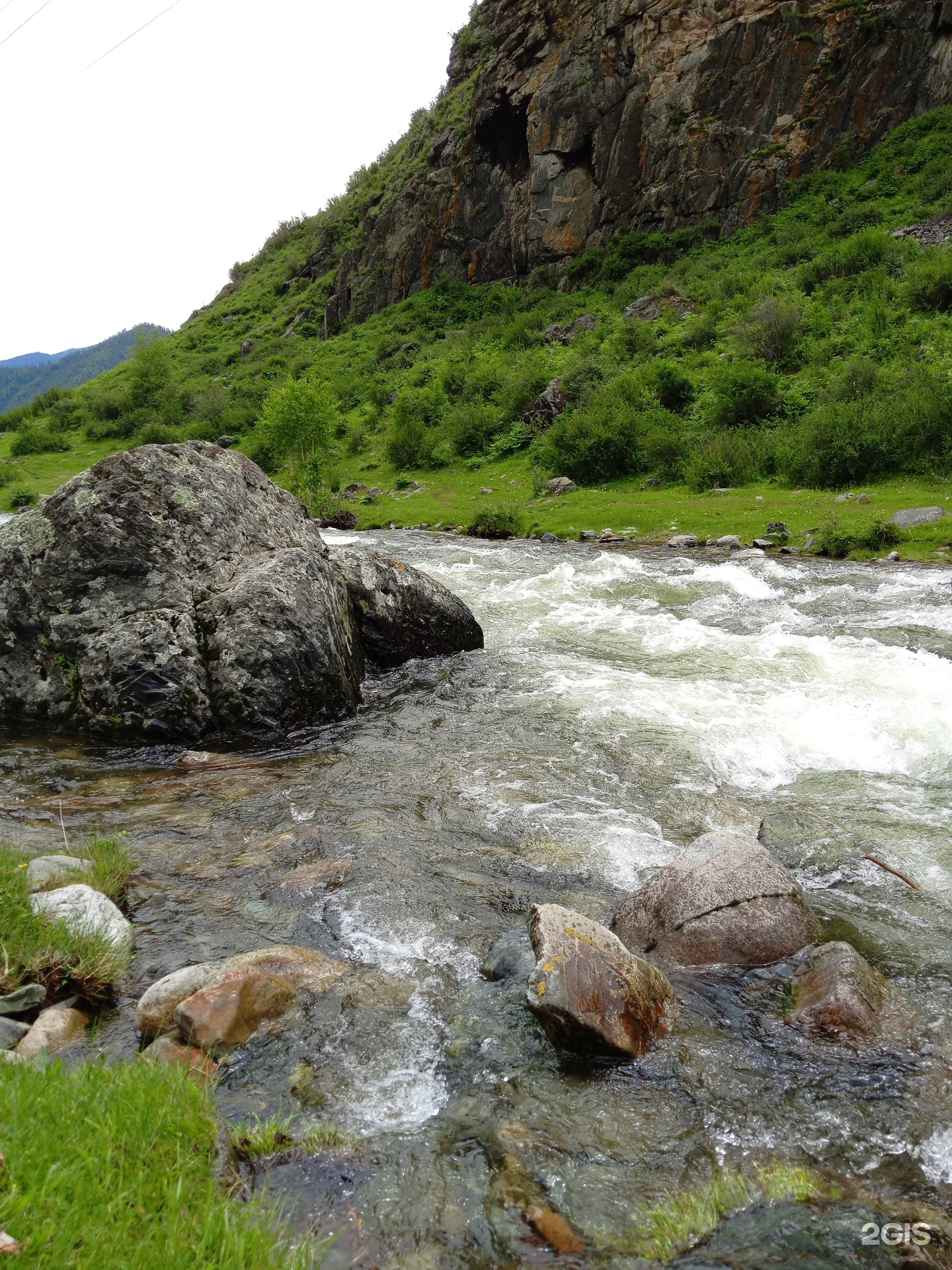 Елочки - фото 1