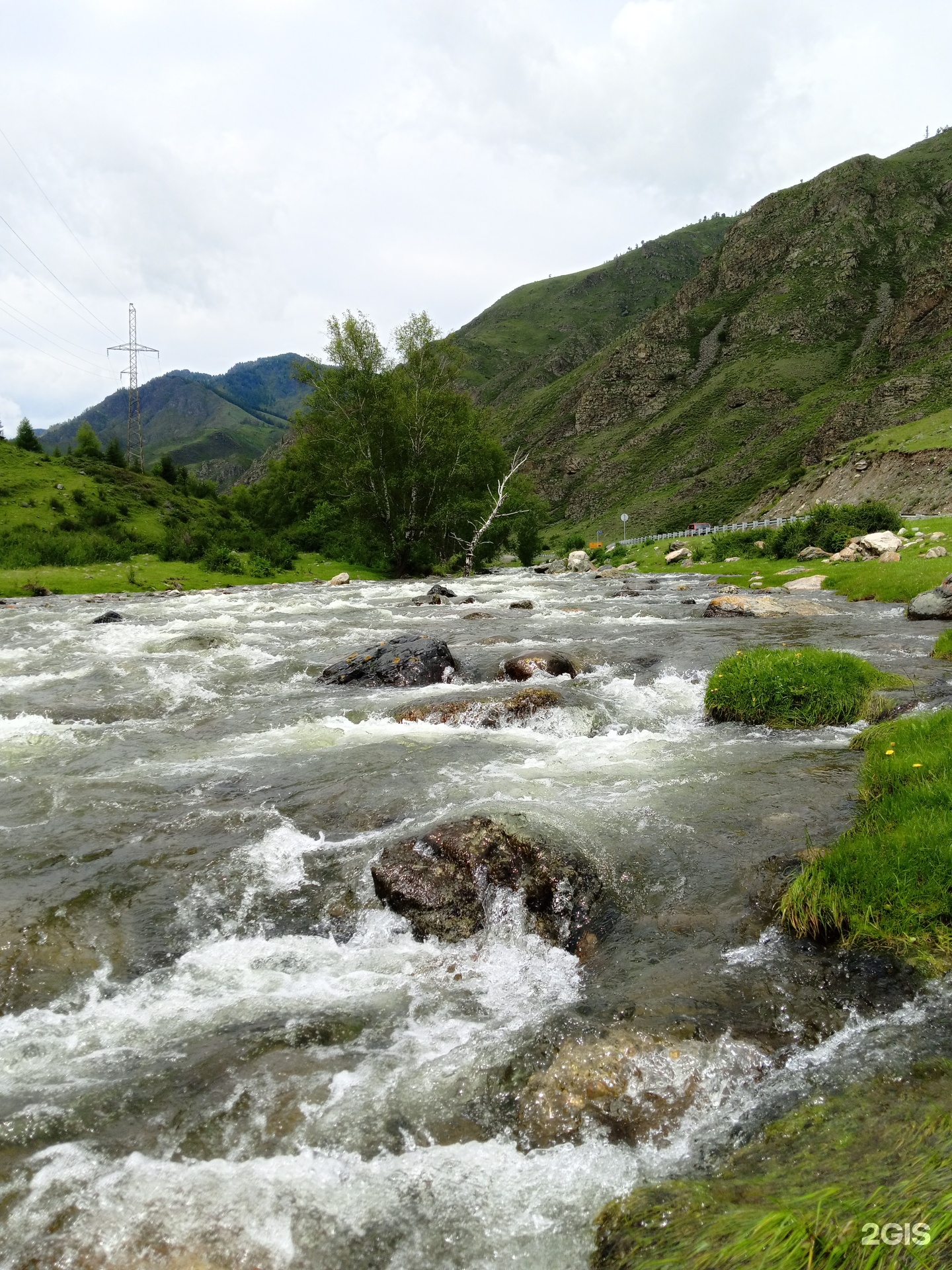 Елочки - фото 15