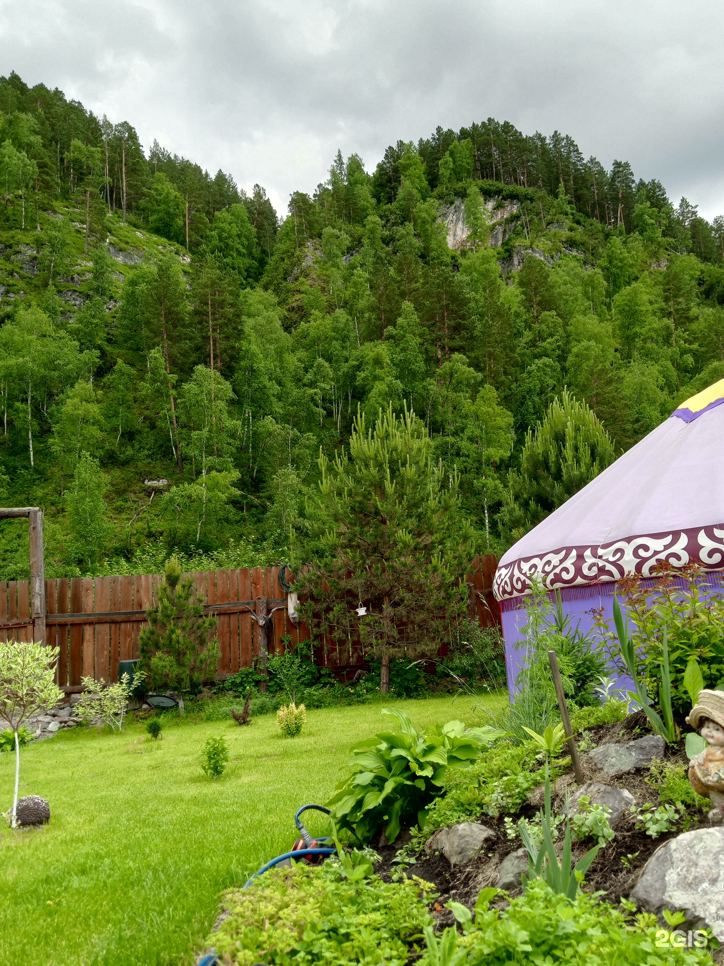 Елочки - фото 21