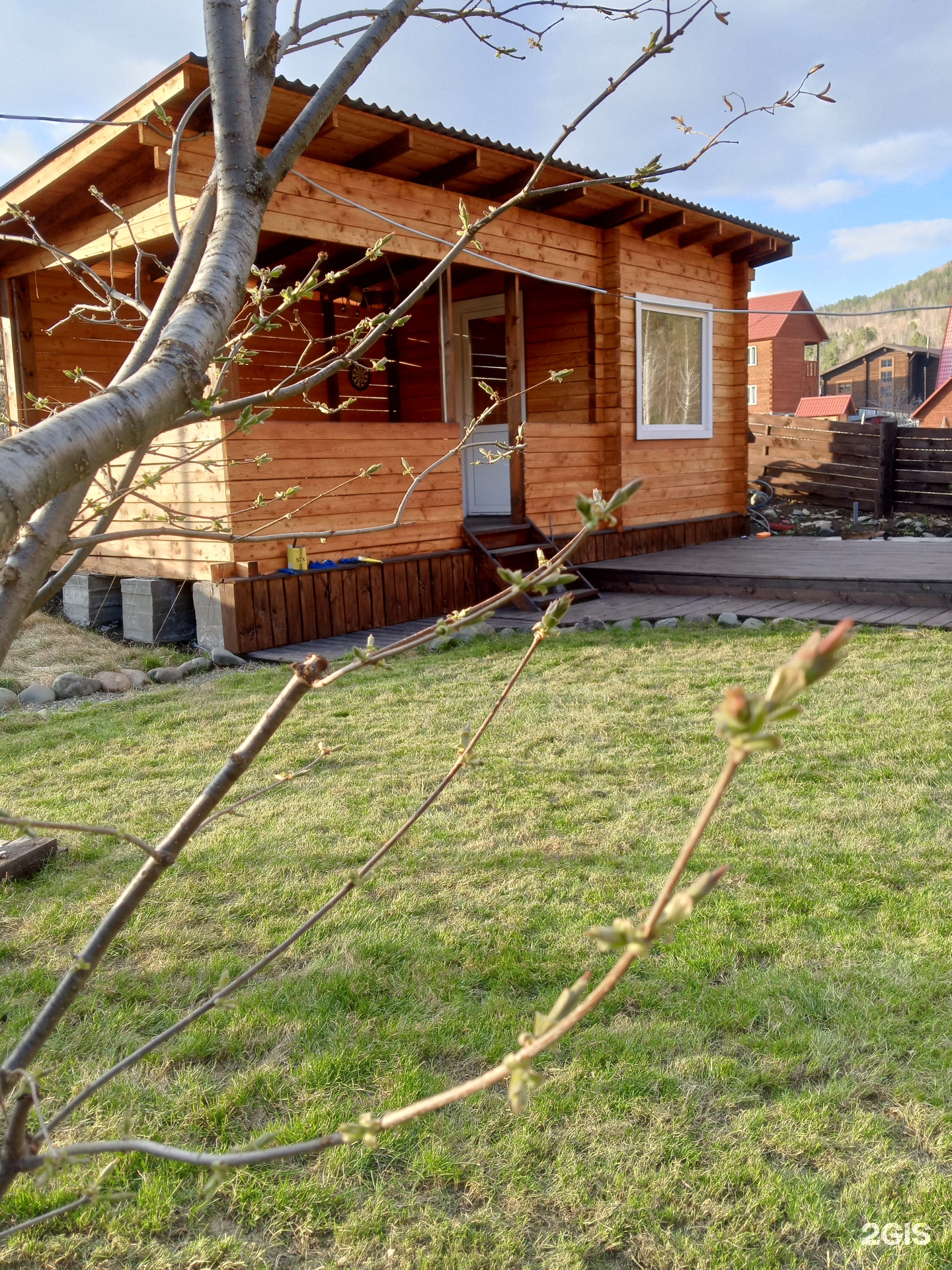 Елочки - фото 22