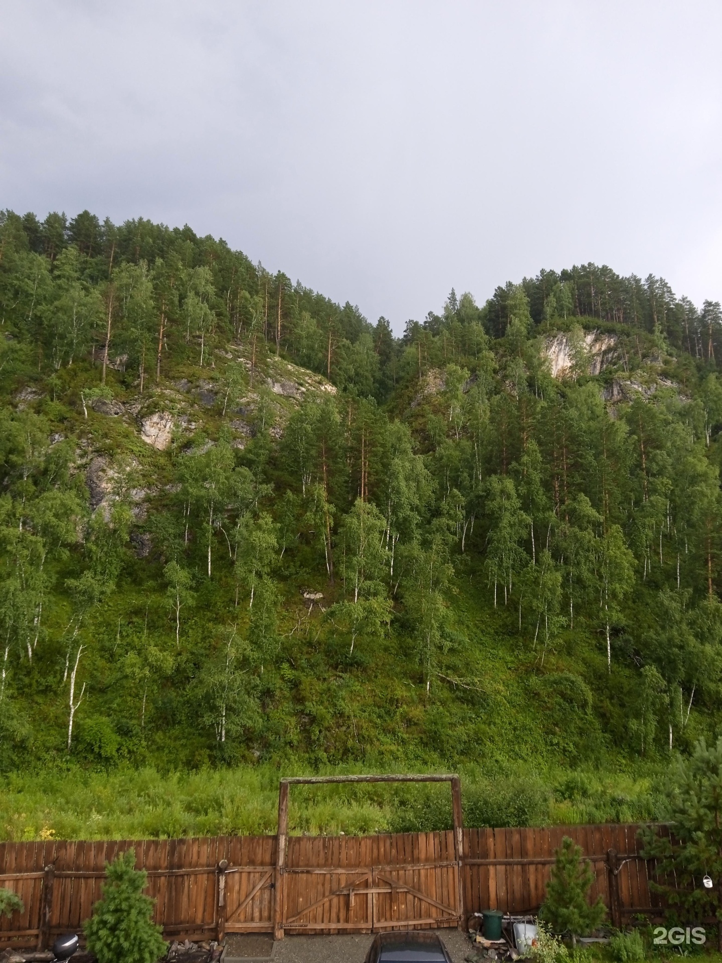 Елочки - фото 29