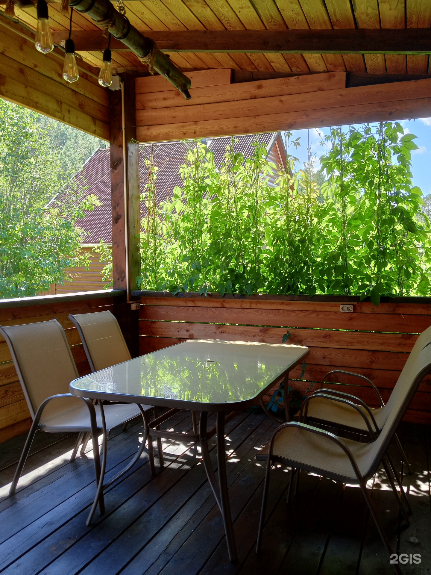 Елочки - фото 30