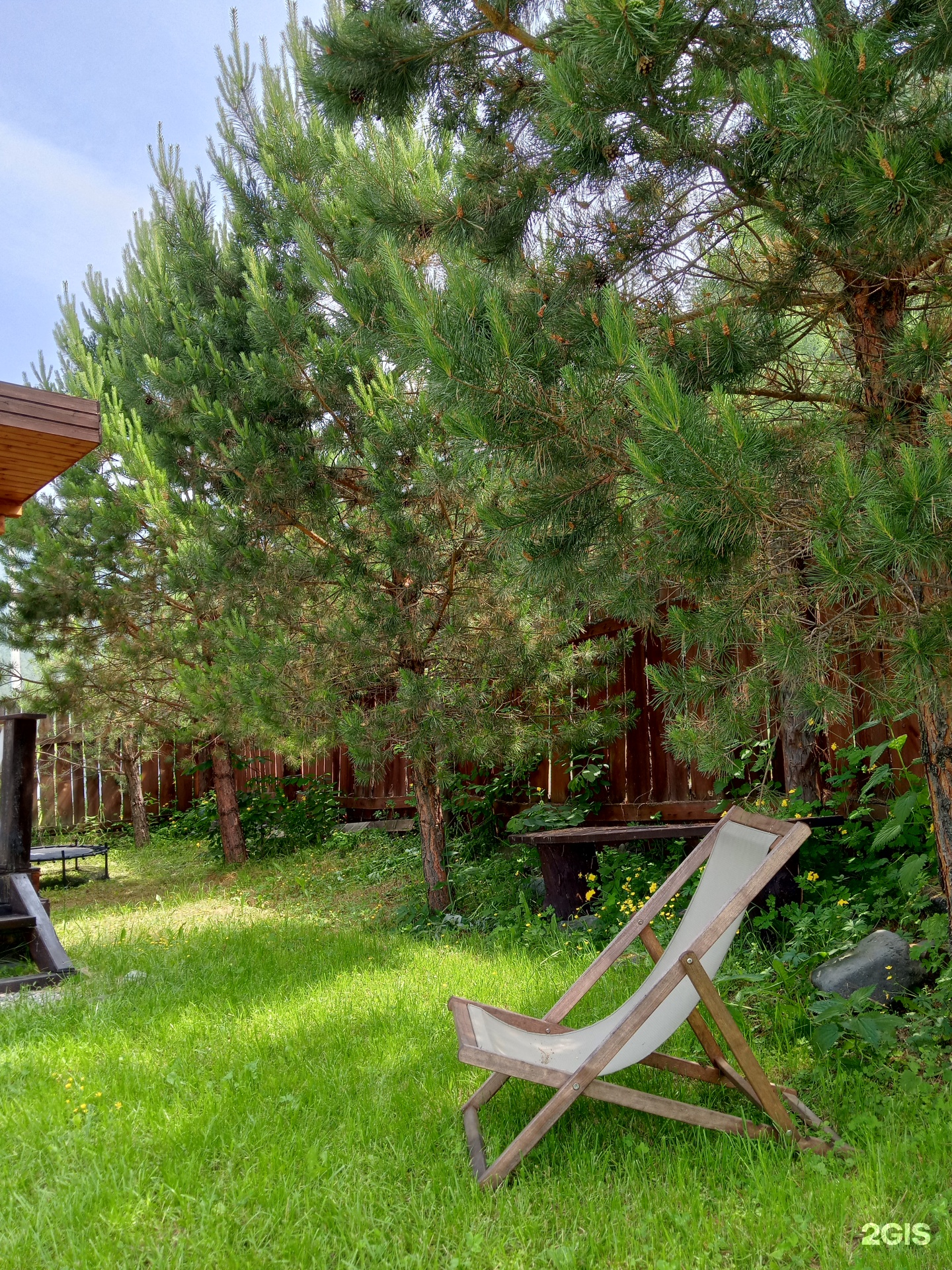 Елочки - фото 32