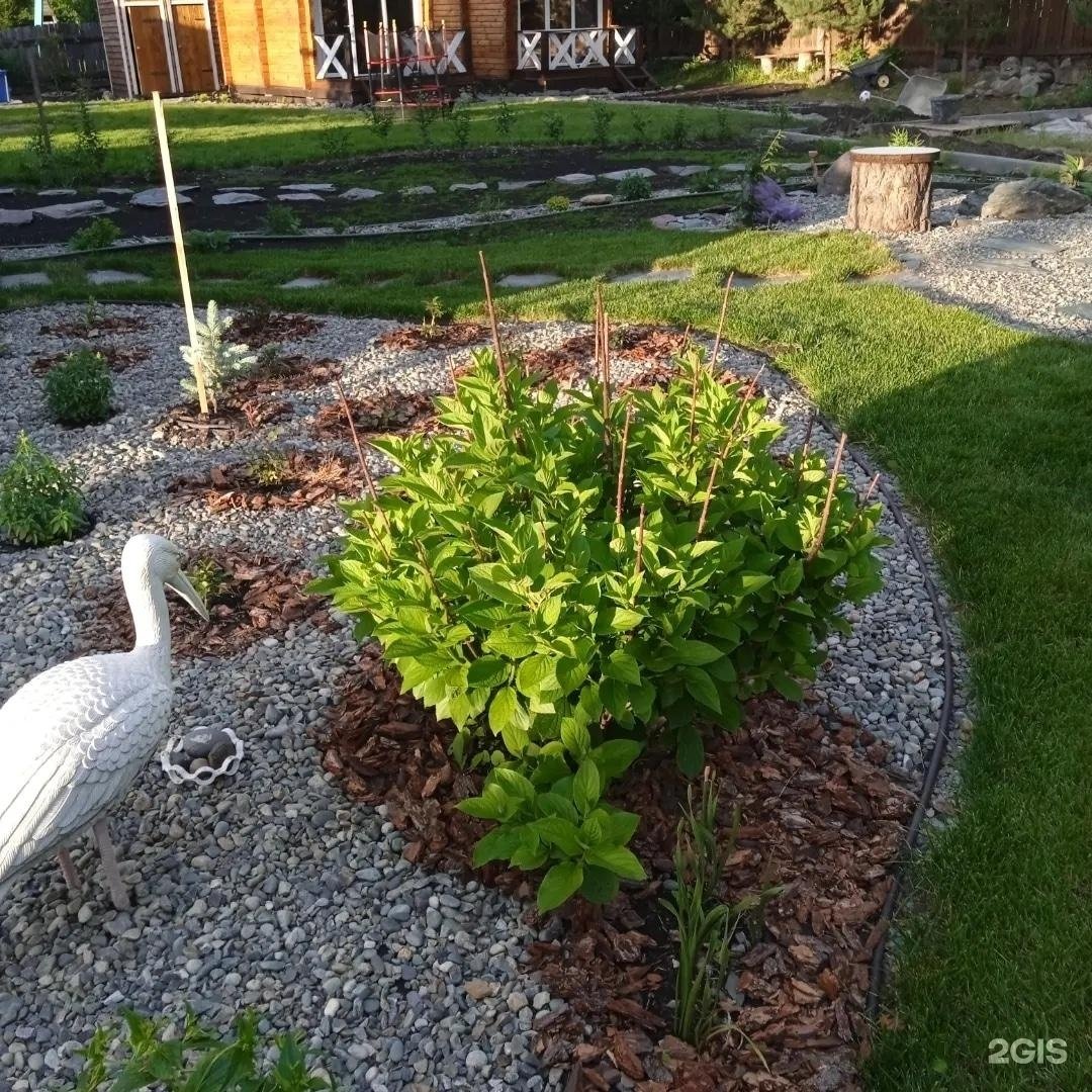 Елочки - фото 40