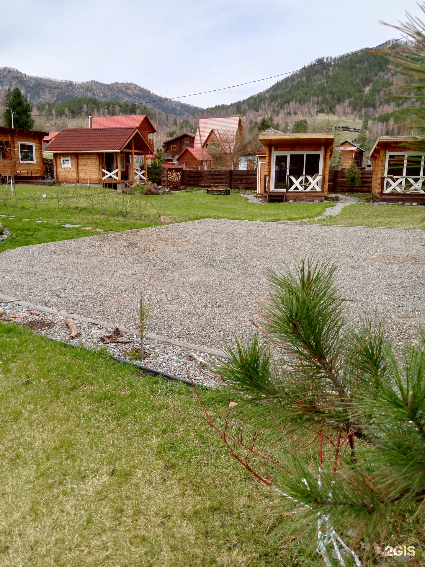 Елочки - фото 42