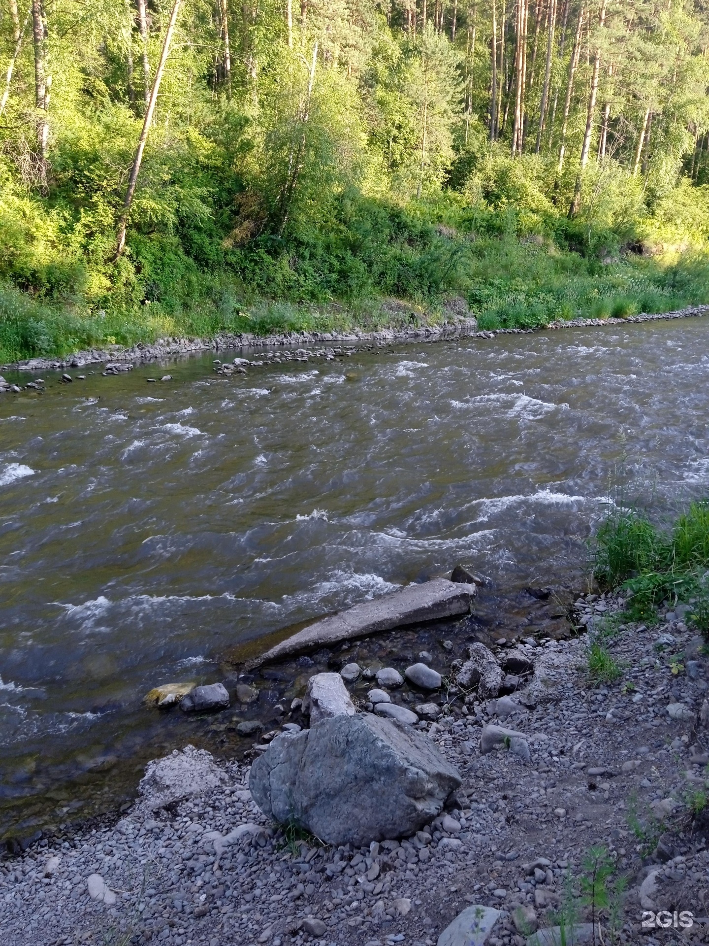 Елочки - фото 44