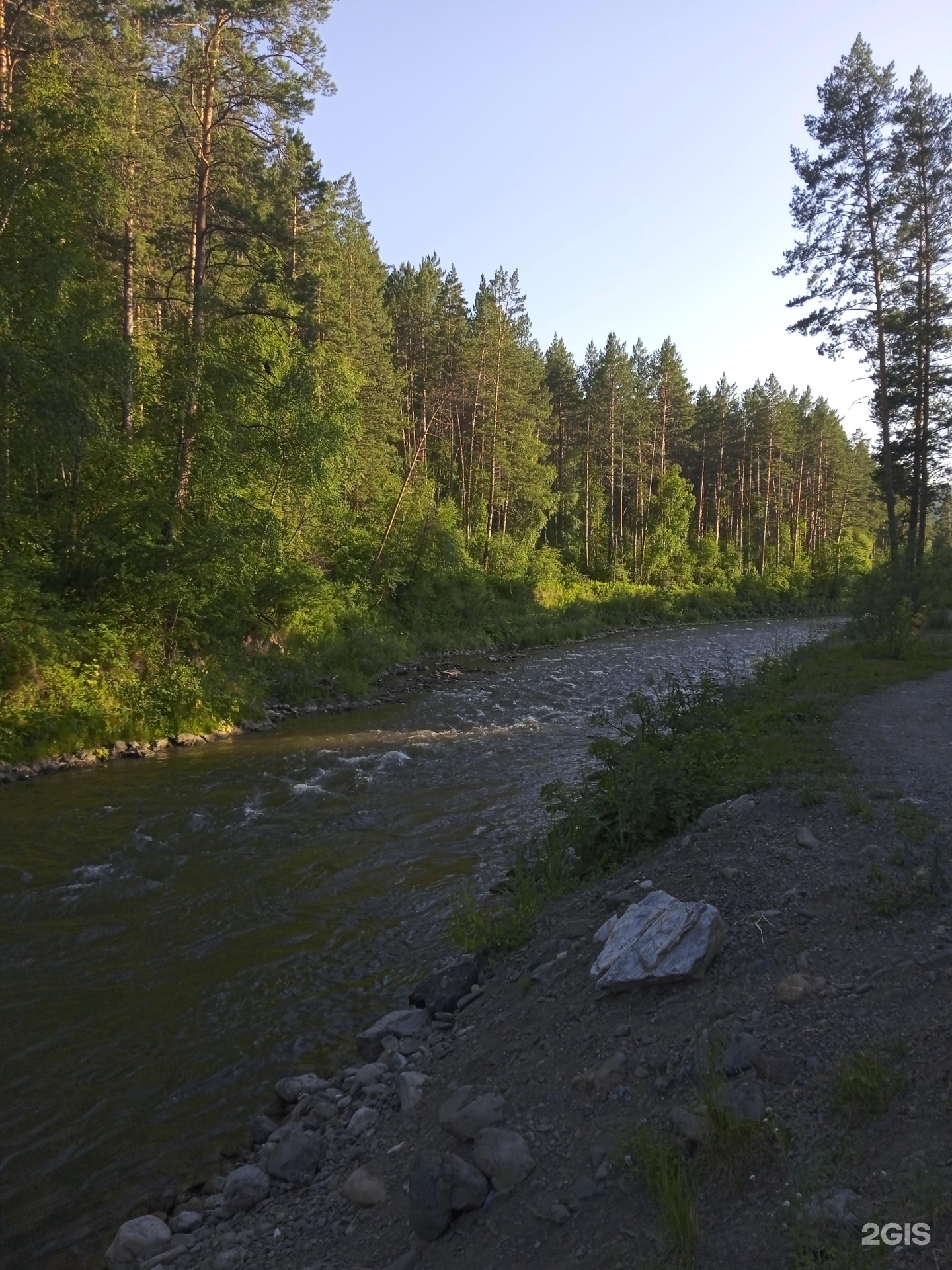 Елочки - фото 51
