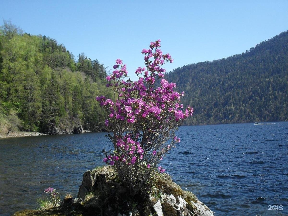 Сокол - фото 9