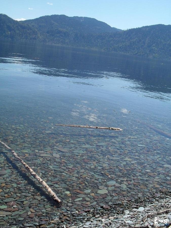 Сокол - фото 12