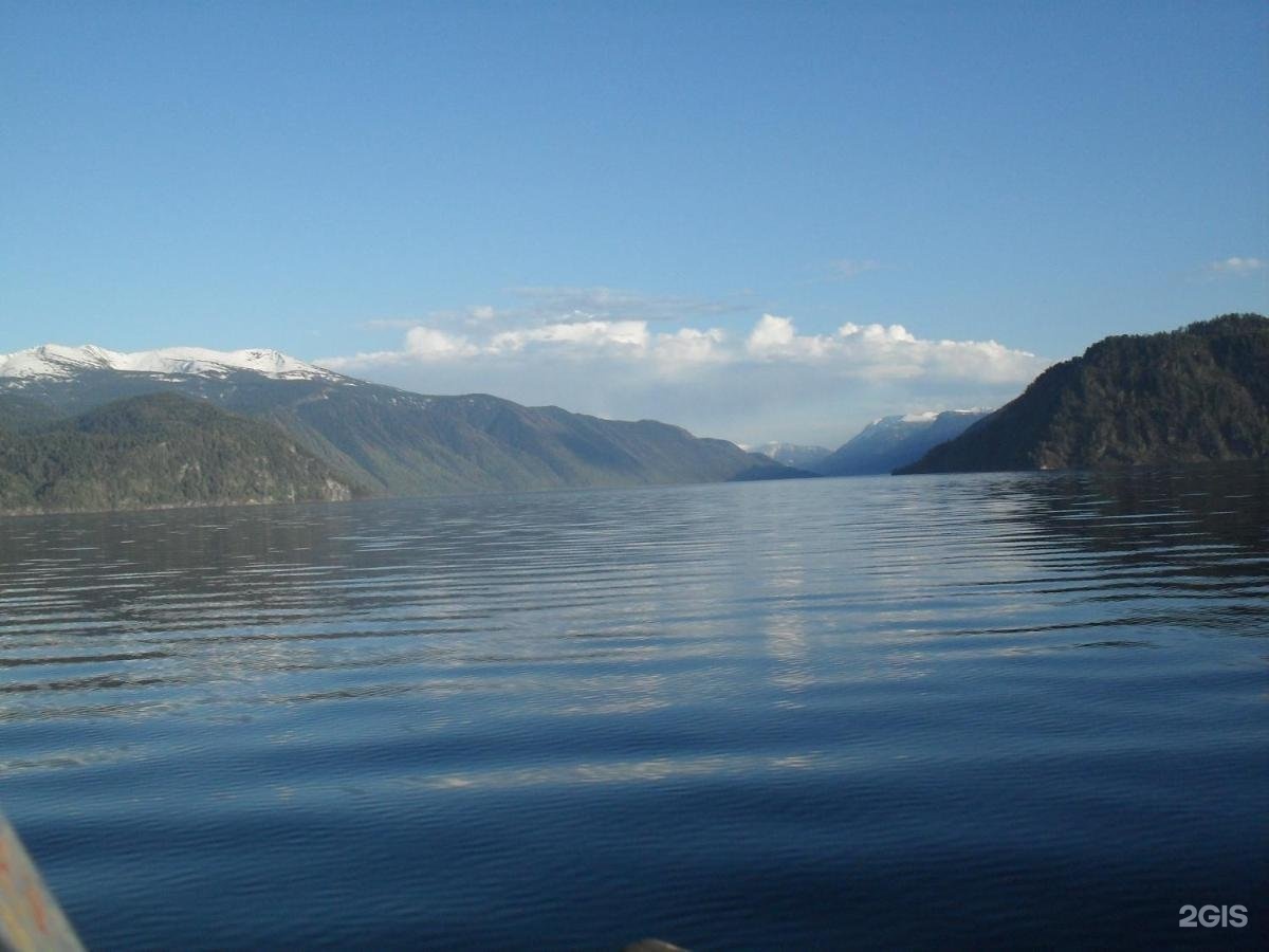 Сокол - фото 15