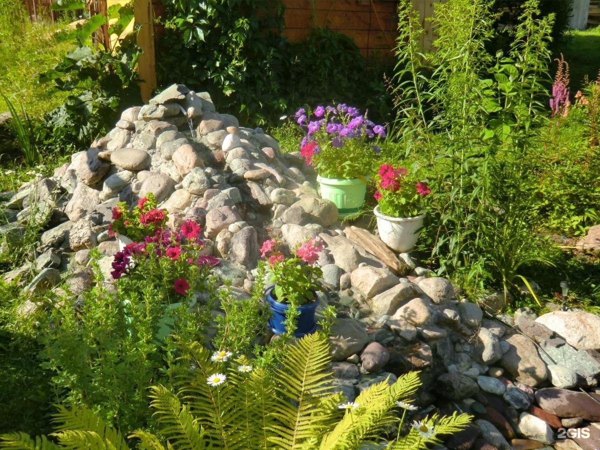 Сокол - фото 16