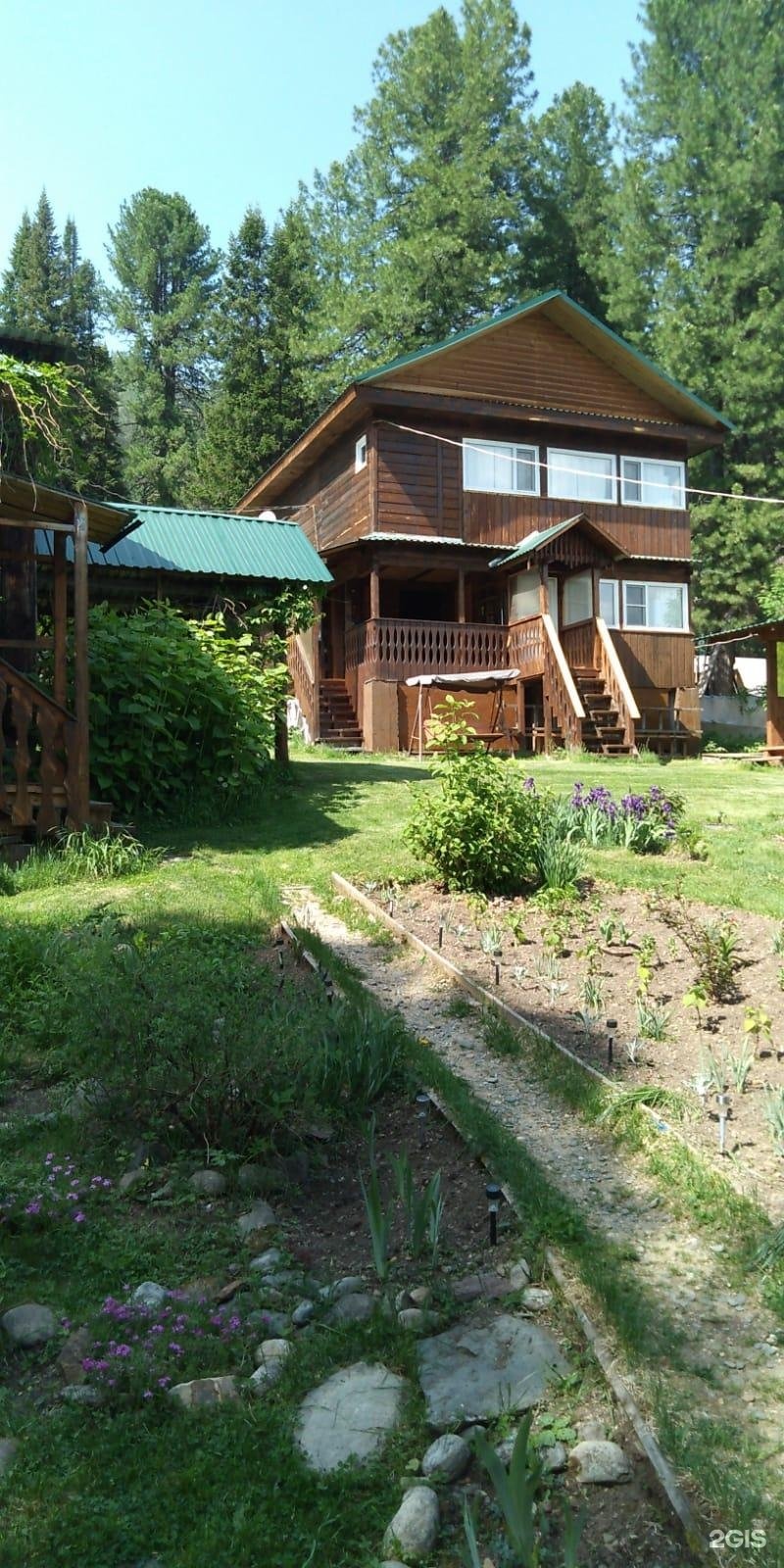 Сокол - фото 17