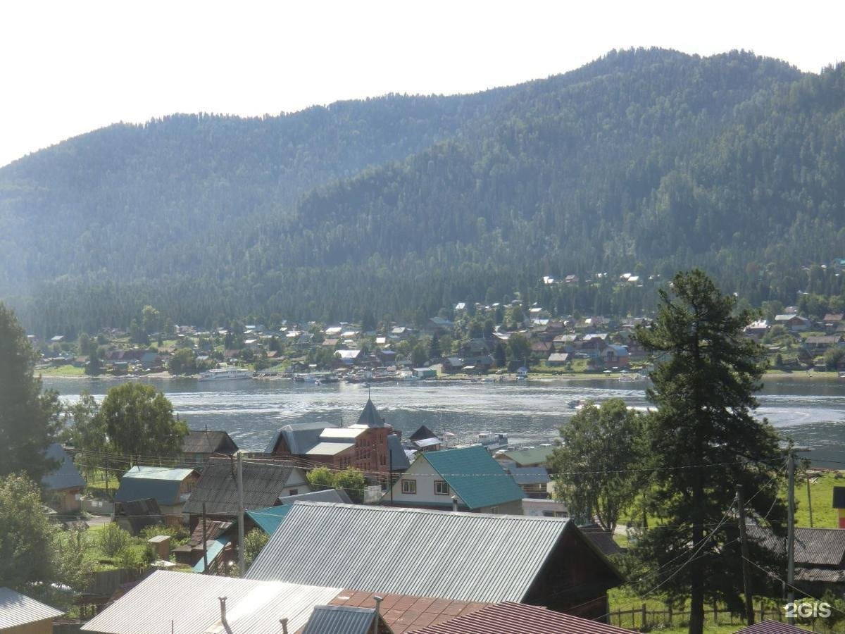 Сокол - фото 20