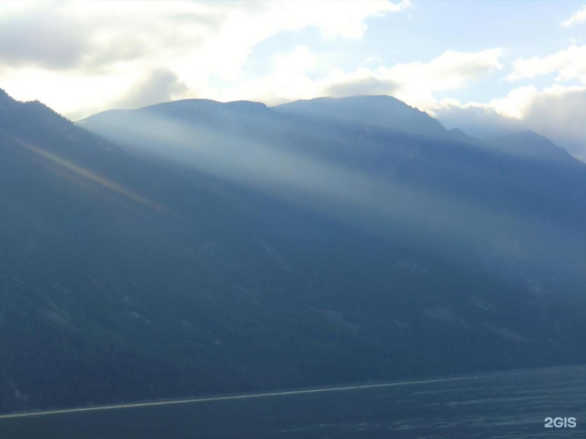 Сокол - фото 23