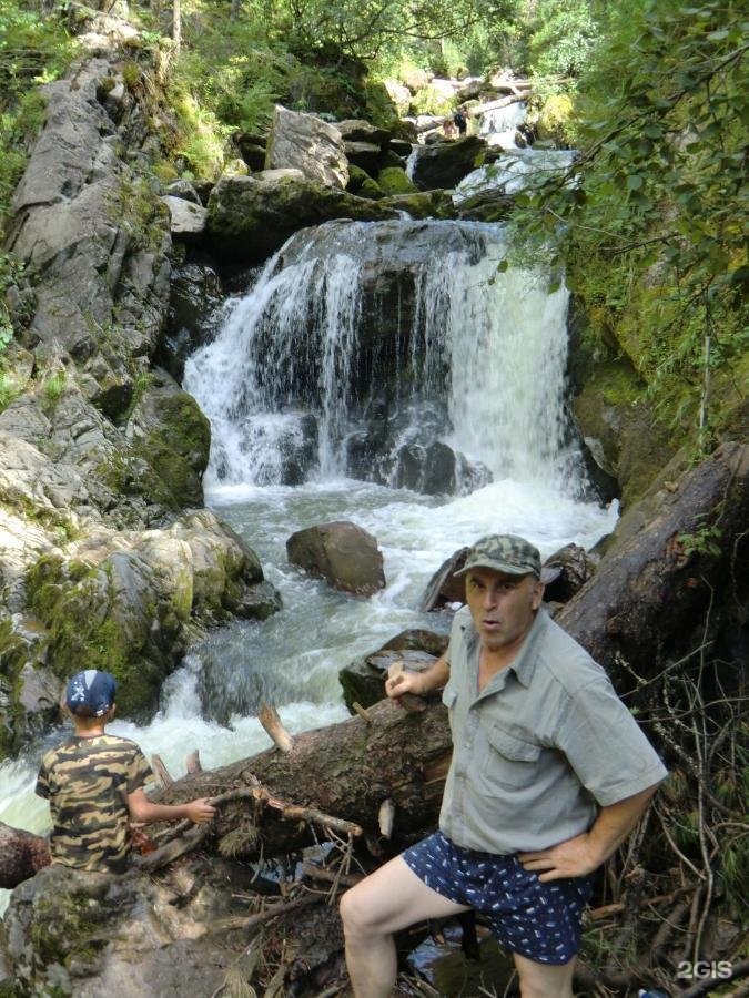 Сокол - фото 35