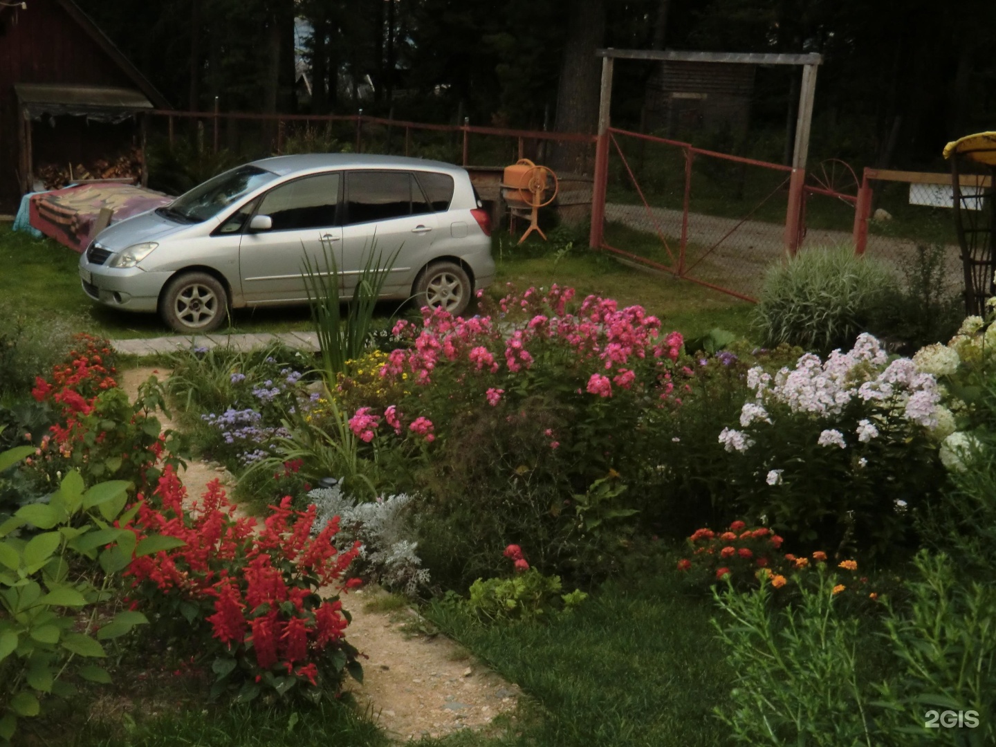 Сокол - фото 37