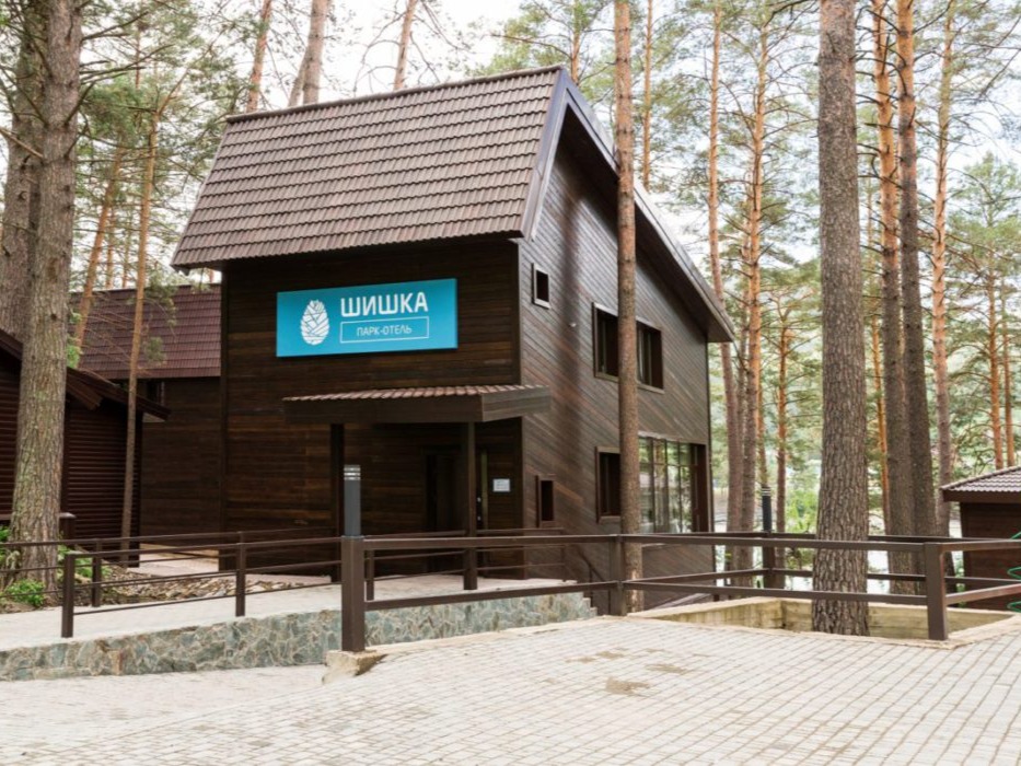 Шишка - фото 1