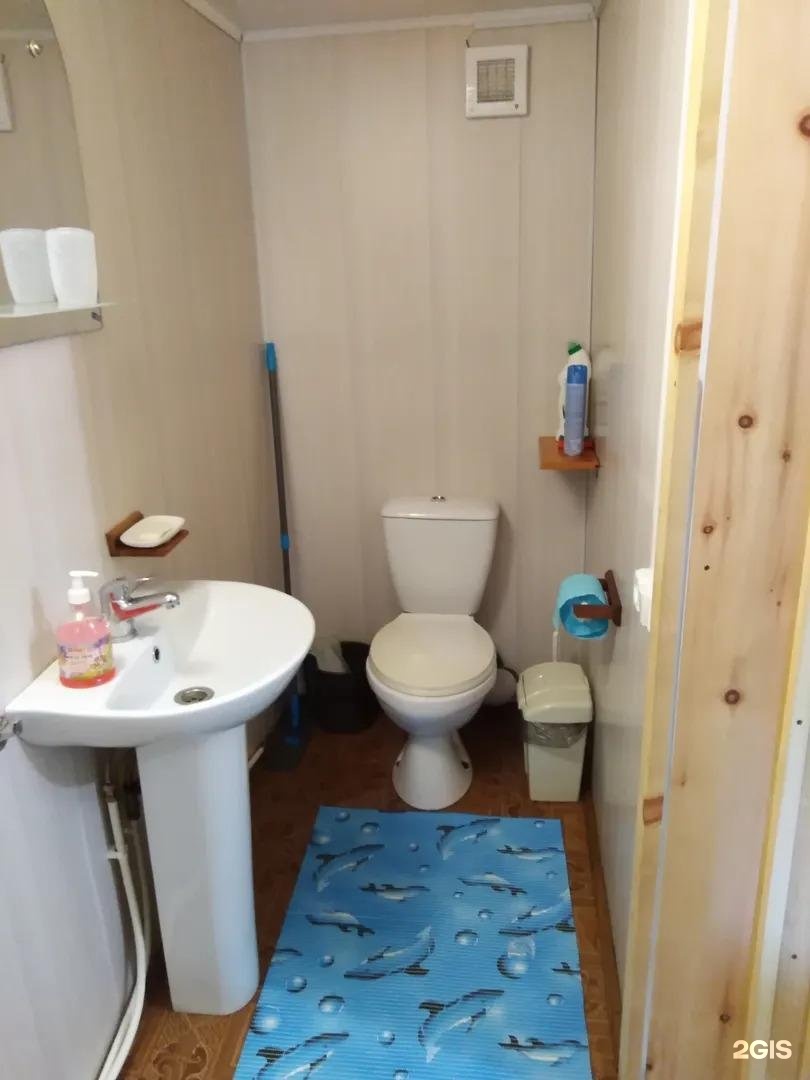 Сокол - фото 64