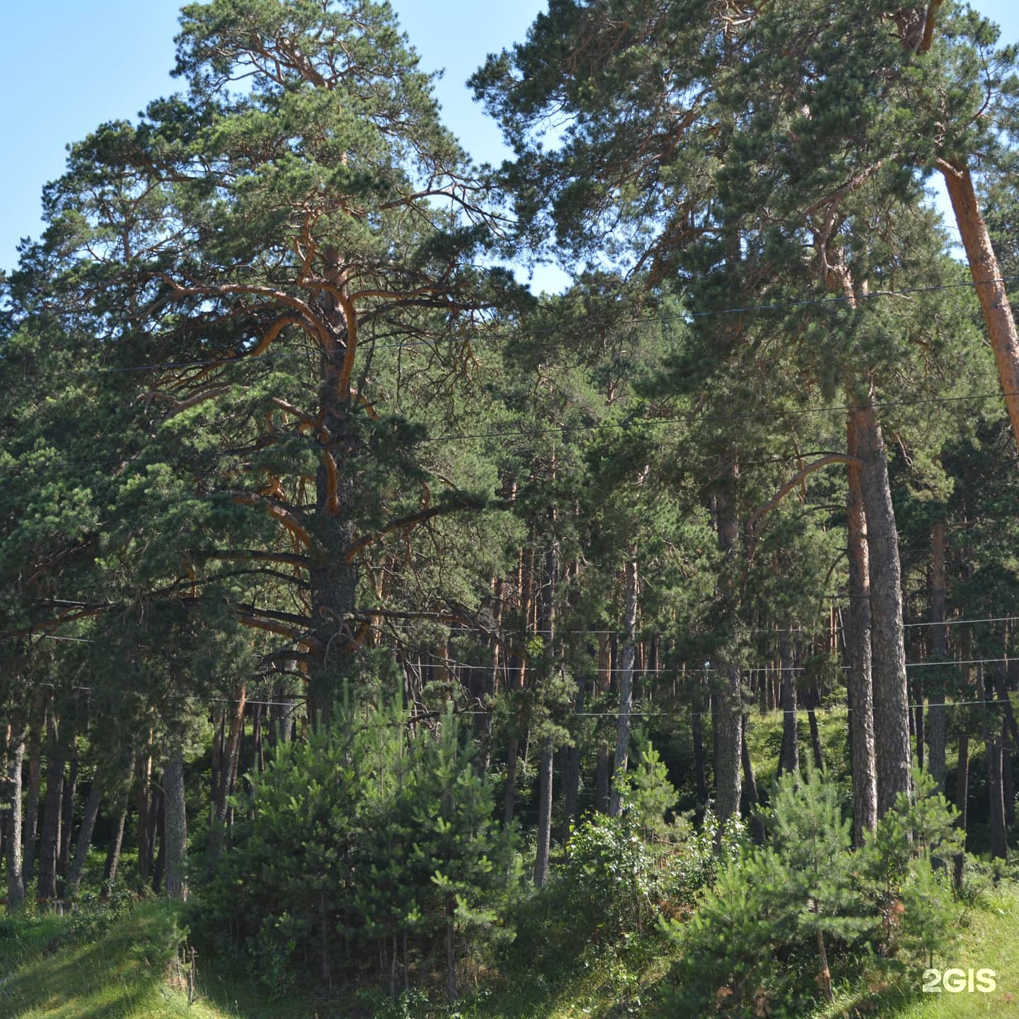 Пять холмов - фото 21