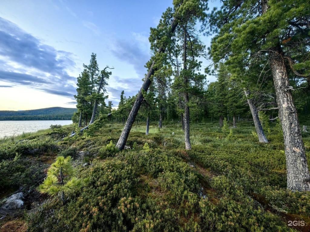 Апартаменты на 33-й км автодороги Акташ-Улаган, база отдыха Балыкту - фото 7